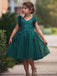 Elegant V-neck Lace Appliques A-line Long Flower Girl Dress,  FGD38